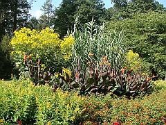 199 Longwood Gardens [2008 August 23]